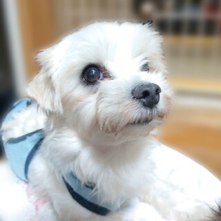 太陽の様に明るく陽気な『サン君』