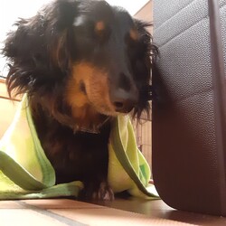 短くなったかな!?