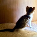 小さい怪獣 2か月女子