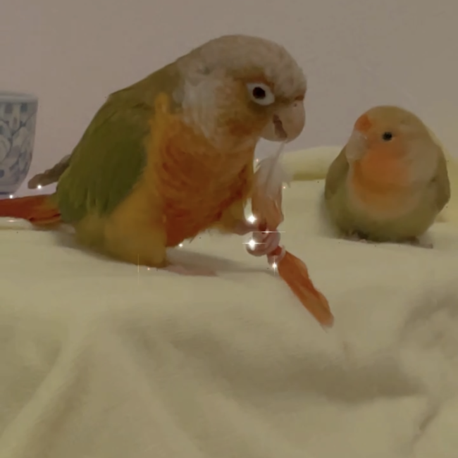 うなのすけのカバー写真