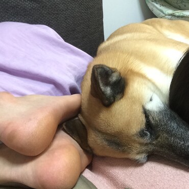 みんなでお昼寝