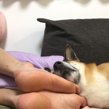 の写真