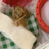 最近帰るとカトルボーンの横で雨待ちをしているのが可愛い。もっと保湿しないとなぁ…。
