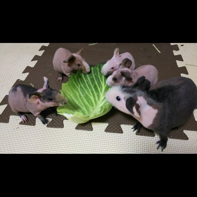 あのののカバー写真