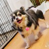 たくさんナデナデしてね♡甘えんぼうのあんりちゃん サムネイル6