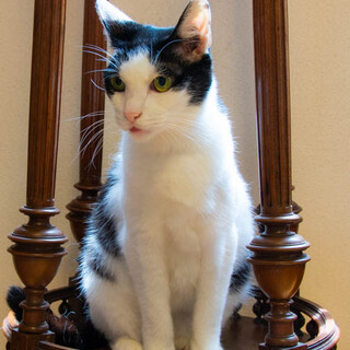 喋ります！★人懐こい女の子★