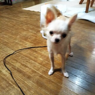 素敵なご縁を頂きました☺️