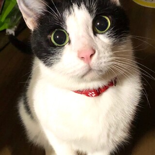 寛大な家族様を待ち続けてます。