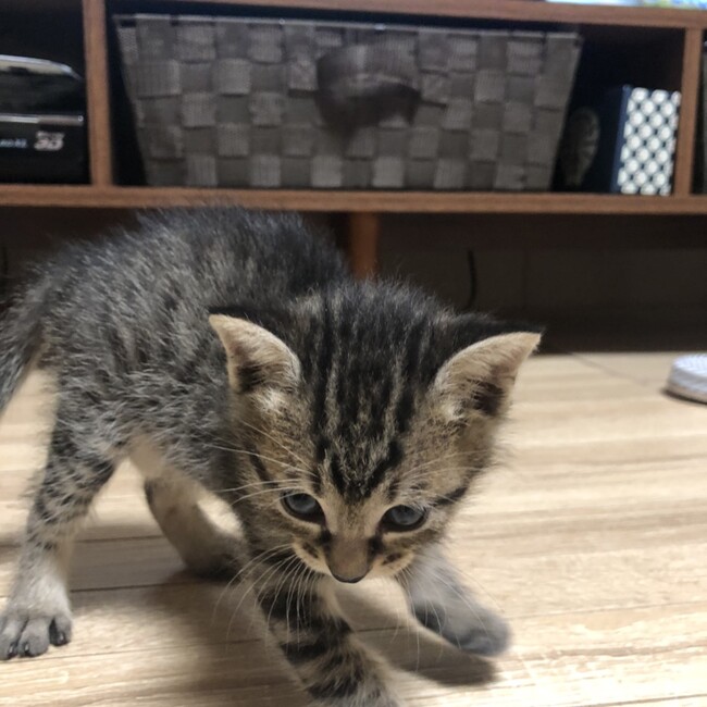 あいせいのカバー写真