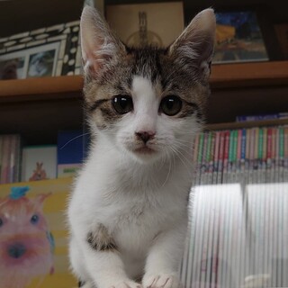 愛嬌がある可愛いお顔♡たまえちゃん