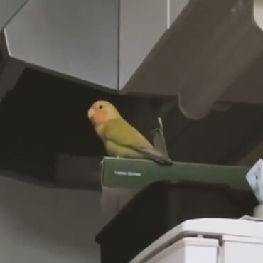 どこをそんなに眺めているの？