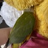どこに頭入れてんの…。。