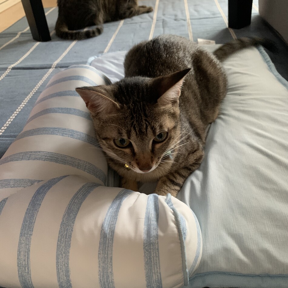 ひめのカバー写真