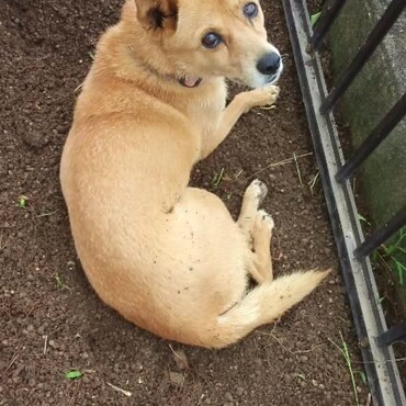 ニャンルーチーさん　ありがとう。　ツライ・・・です。。