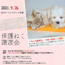 保護ねこ譲渡会 第19回