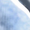 人慣れ抜群、かなり綺麗な男の子です。