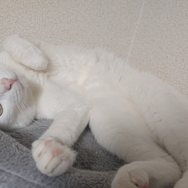 HIR0YUKIのカバー写真