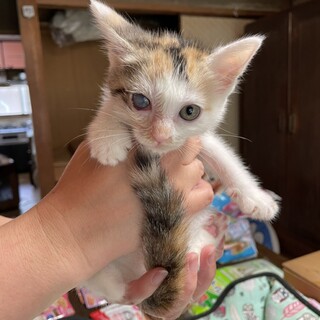 おてんばでやんちゃな女の子キキちゃん♪