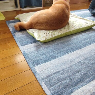 ちょここんさん…(´；ω；｀)   悲しいね…辛いね…(´Д⊂ヽ