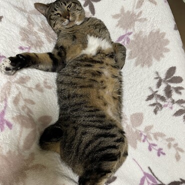 夏バテ１号(^_^;)