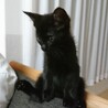 たらいち