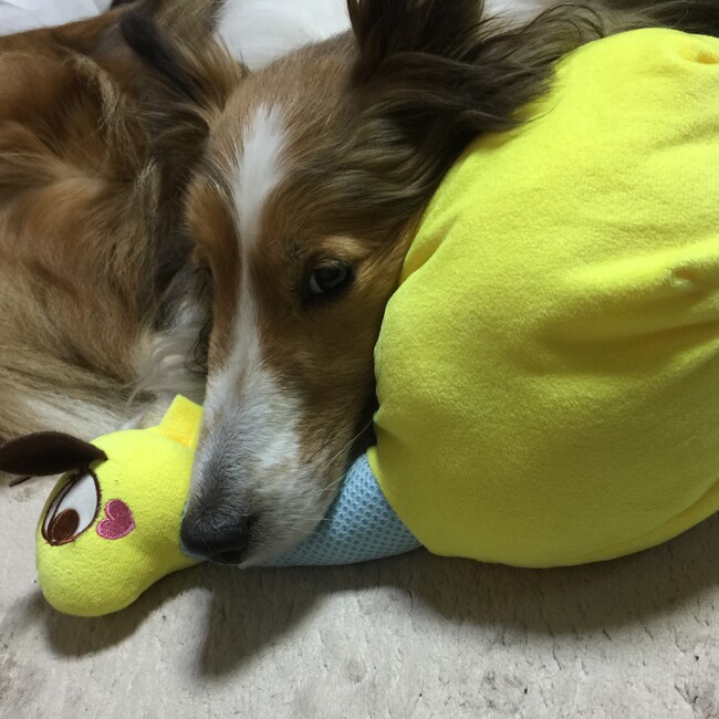 りけすけのカバー写真