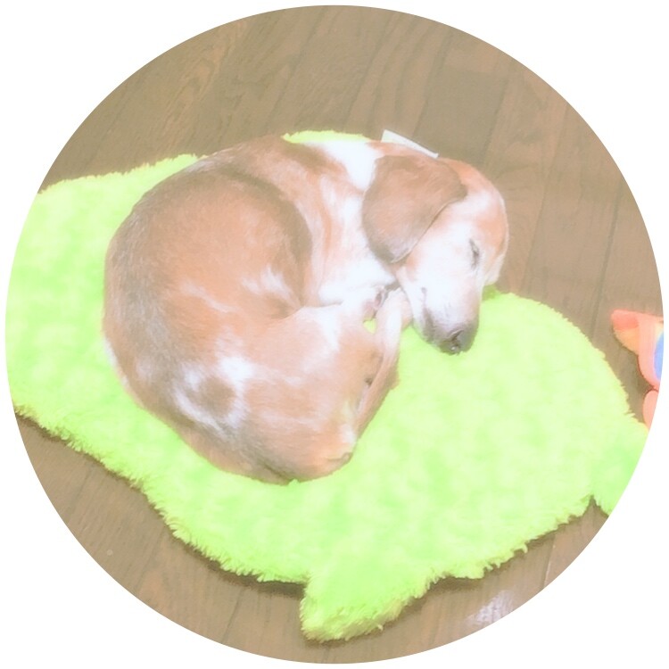 ダン
