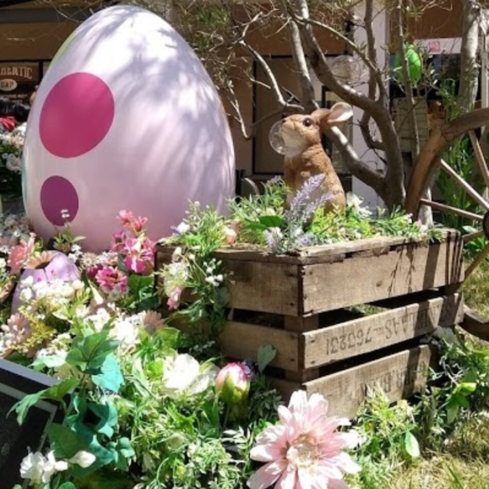 楓太futaのカバー写真