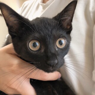 魔女の宅急便から抜け出して来ました♬.*ﾟ