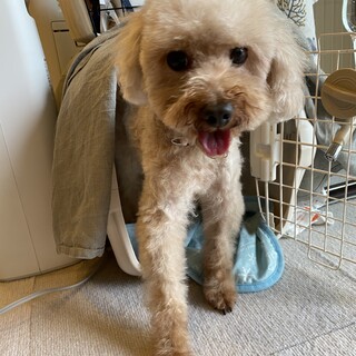 人が大好き♡足が長くてスタイル抜群なちえちゃん♪