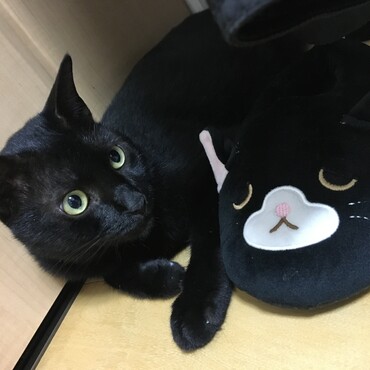 スリッパとしゅうちゃん♡