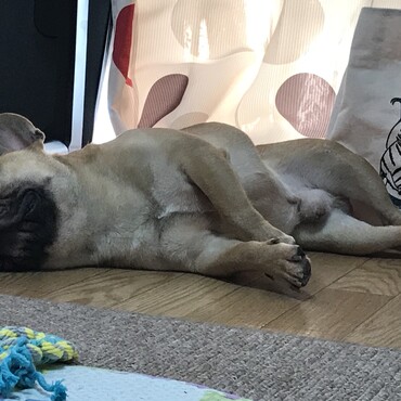 くつろぎ中。