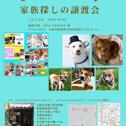 保護っ子達の家族探しの譲渡会