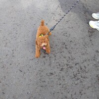 さち