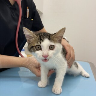 元気いっぱい！2匹一緒に