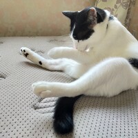 めい