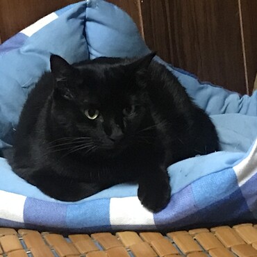 の写真