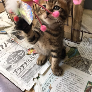 癒やし系♡とってもキュートな男のコ♡