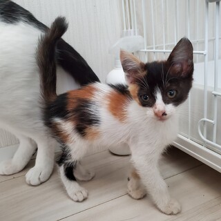 〈けう〉お家きまりました！
