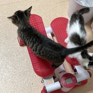 まだまだ募集（╹◡╹）♡