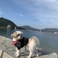 まいる