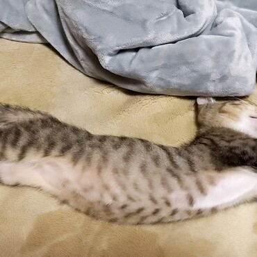 の写真