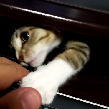 の写真