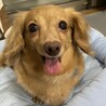 可愛いくてたまらない♪おっとりなごみ系のマハちゃん サムネイル2