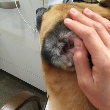 の写真