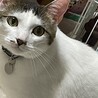 の写真