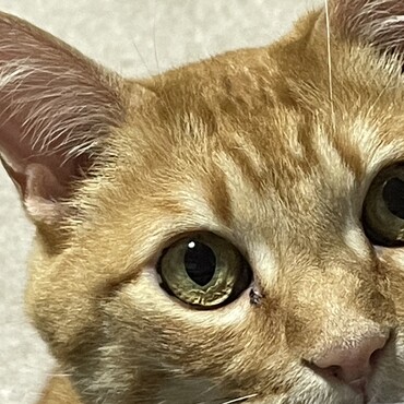 の写真
