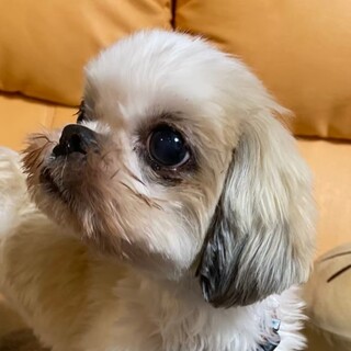 性格◎とっても優しく可愛い女の子♪のんちゃん