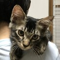 甘えん坊の食いしん坊、りんたろうです。
