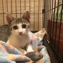 甘えん坊の男の子です